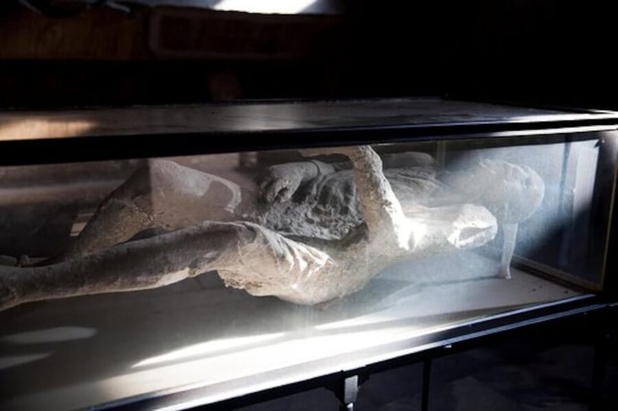 Pompeii: Skip-the-Line Guided Tour with Expert Archaeologist - Meeting at Via Villa dei Misteri and Beating the Lines