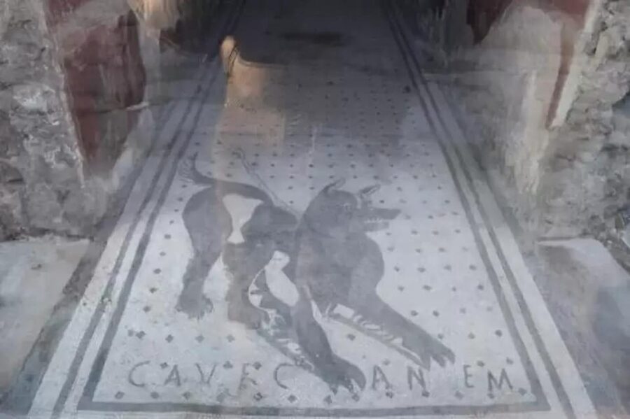 Pompeii: Skip the Line Ticket + Audioguide - How to Plan Your Time Inside the Park