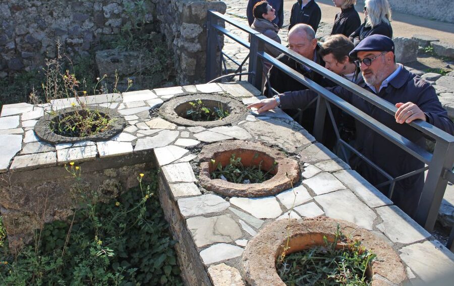 Pompeii: Skip-the-Line Tickets and Tour with Archaeologist - Logistics That Affect Your Comfort on Site