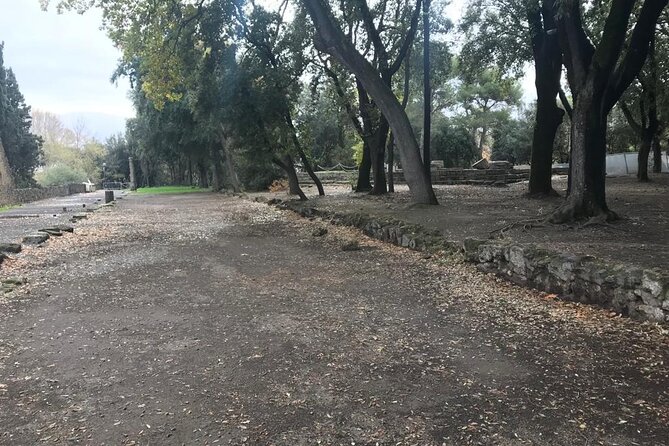 Pompeii Small Group Guided Tour with Skip-the-line Admission - The 2-hour game plan: public buildings, shops, and streets