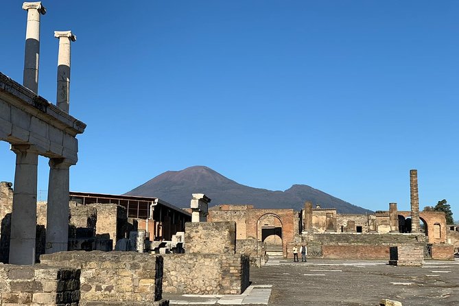 Pompeii Small Group Tour & Food/Wine tasting at Mt. Vesuvius - Price and value for a full Pompeii plus wine day