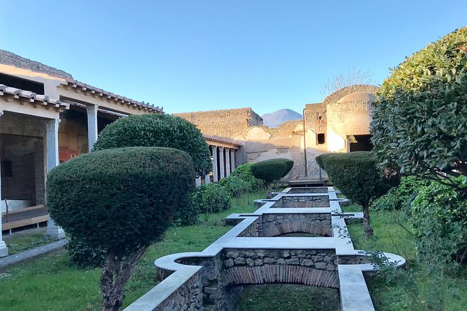 Pompeii Tour & Admission included in a Small Group - Rich homes, the House of the Faun, and the Via dell’Abbondanza main street
