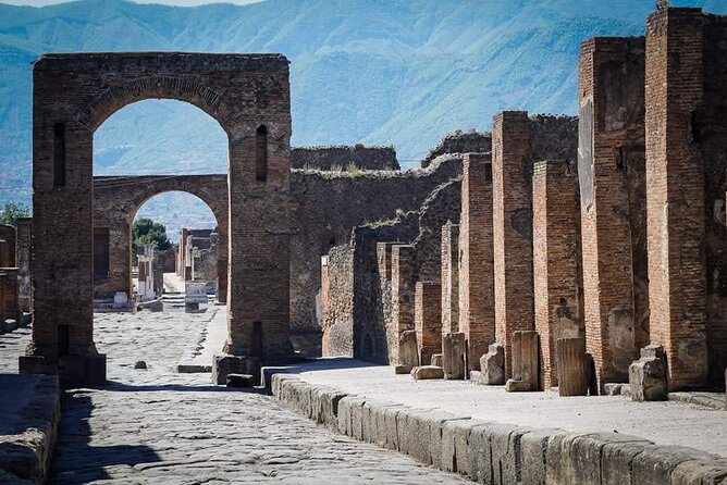 Pompeii Tour from Sorrento (tickets not included) - Private Van Logistics From Sorrento Pickup To Return