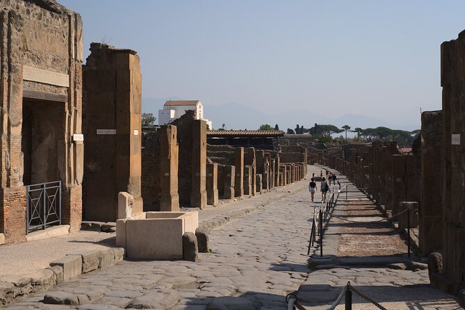 Pompeii Tour & Lunch with Wine Tasting Experience - Logistics That Matter: Meeting Point, Pickup Options, and Where Delays Can Happen