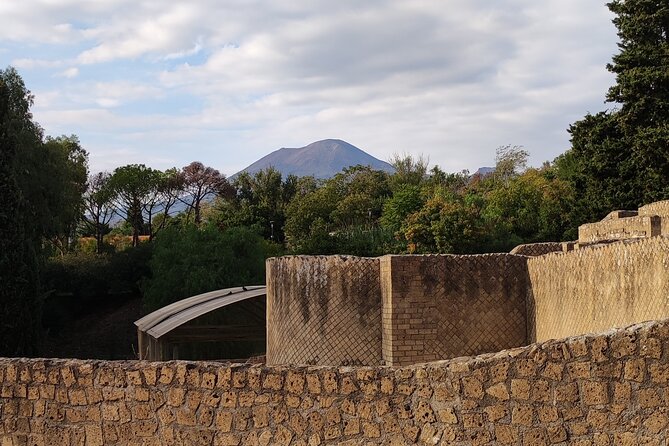 Pompeii: Tour with Archaeologist Guide & Skip-the-Line Entry - Pompeii in 2 hours: what this tour actually covers
