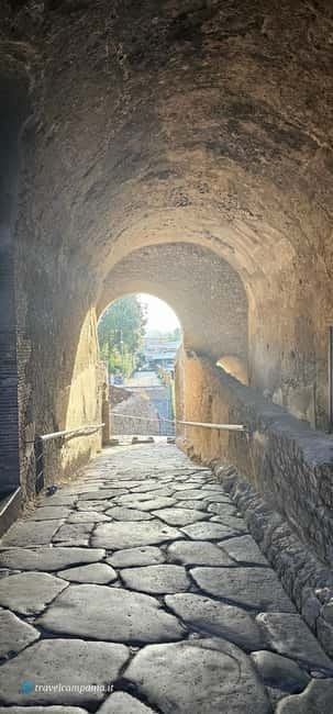 Pompeii: Tour with Archaeologist Guide & Skip-the-Line Entry - Tips to make your 2-hour tour feel longer