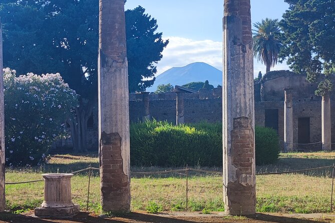 Pompeii: Tour with Archaeologist Guide & Skip-the-Line Entry - Skip-the-line entry and why it saves more than time