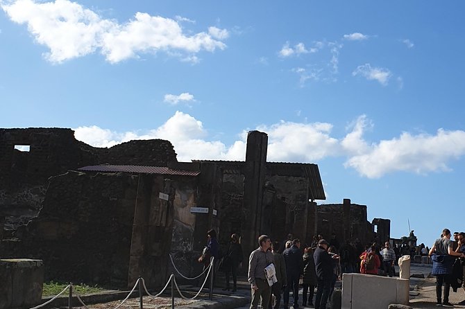 Pompeii tour with entrance ticket! - Priority entrance and the ticket truth