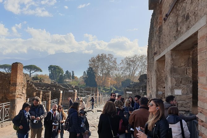 Pompeii tour with entrance ticket! - What you’ll actually do during the visit