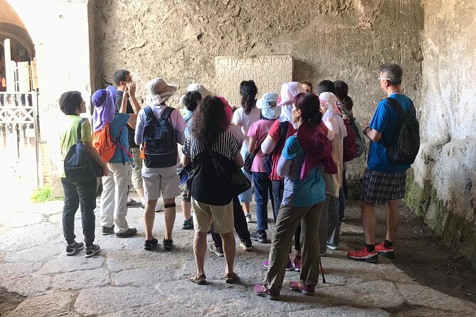 Pompeii Tour with experienced guide - Price and value: what the $133.01 gets you