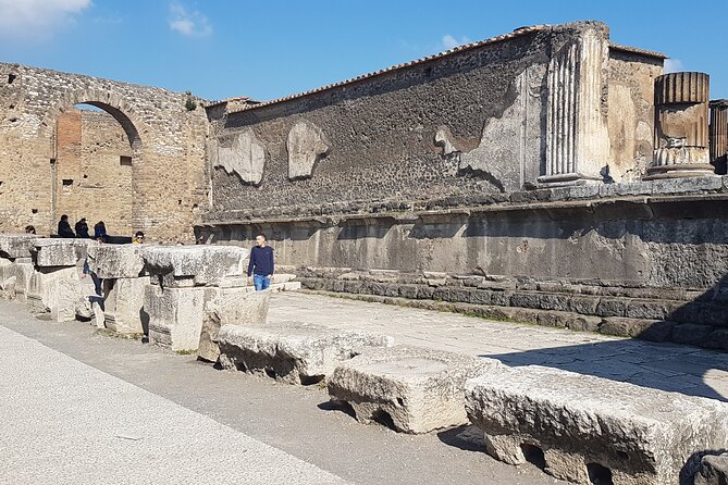 Pompeii Tour with experienced guide - Who should book this Pompeii guided tour
