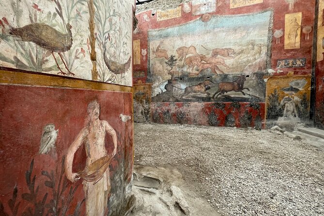 Pompeii Unveiled: 3-Hour Private Tour In-Depth Discovery - Palestra Grande: Where Training and Daily Routine Meet the Evidence