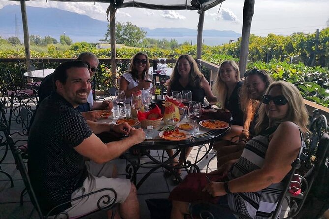 Pompeii, Vesuvius & Wine Tasting - Comfort, transport, and the local team effect