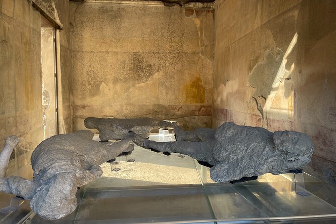 Pompeii, Vesuvius & wine tasting from Positano all inclusive - Group size, guide style, and why the humor helps