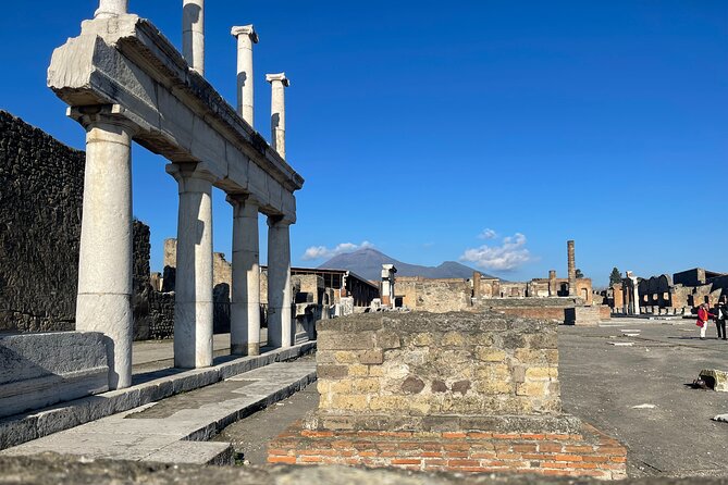 Pompeii, Vesuvius & wine tasting from Positano all inclusive - Price and value for this Pompeii, Vesuvius, and wine day