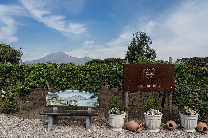 Pompeii Vineyard Escape: Private Wine Tasting & Lunch - Why this Pompeii wine tasting feels different from a quick stop