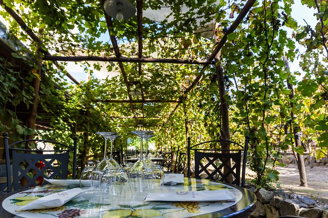 Pompeii Vineyard Escape: Private Wine Tasting & Lunch - Should you book this Pompeii wine tasting and lunch?