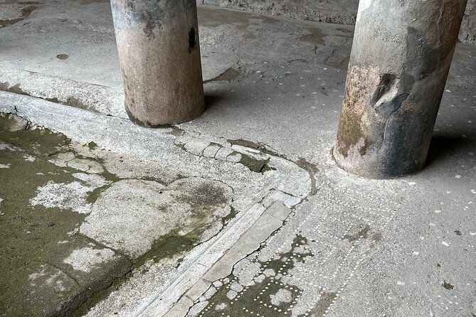 Pompeii walking tour (2hrs) - Gladiators’ training and the city’s way of having fun