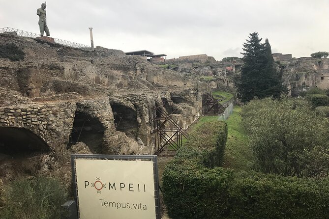 Pompeii Wine Tasting Tour from Positano - Where You Meet in Positano and How Pickup Actually Helps