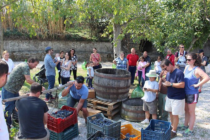 Pompeii Wine Tasting Tour from Positano - After Pompeii: The Transfer That Changes the Mood