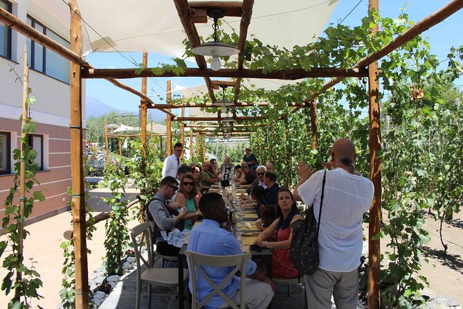 Pompeii Wine Tasting Tour from Positano - The $301.20 Price: Is It Good Value for What You Get?