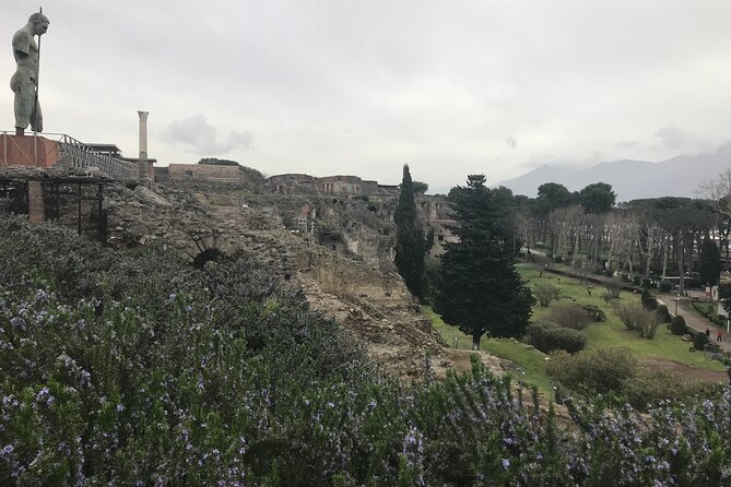 Pompeii Wine Tasting Tour from Positano - Entering Pompeii with a Guided 2-Hour Walk