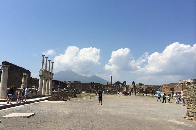 Pompeii-Wine tasting tour from Sorrento, licensed guide included - Pompeii plus wine in one smooth day from Sorrento