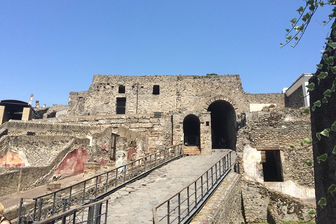 Pompeii-Wine tasting tour from Sorrento, licensed guide included - Stop 2, Cantina del Vesuvio: lunch, Lacryma Christi, and Bay of Naples views