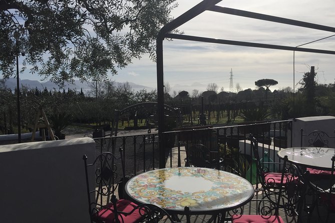 Pompeii-Wine tasting tour from Sorrento, licensed guide included - Pompeii tickets at 9:00 AM: the one detail that can make or break your timing