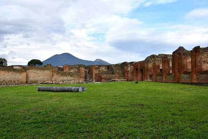 Pompeii & Wine Tour from Sorrento (tickets & lunch not included) - Wine Tasting on a Terrace With Gulf Views
