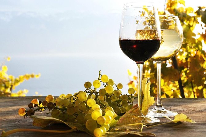 Pompeii & Wine Tour from Sorrento (tickets & lunch not included) - Getting Into Pompeii: Tickets, Timing, and What 2 Hours Really Means