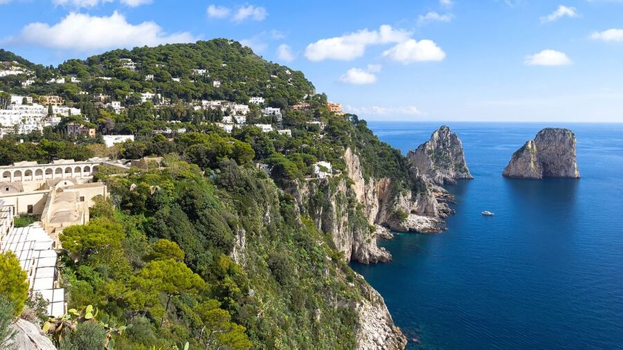 Positano: Small-Group Boat Excursion to Capri Island - Who This Capri Boat Excursion Fits Best