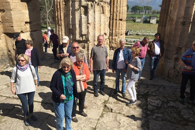 Private 2 Hour Paestum Tour - Museum stop: Museo Archeologic Nazionale di Paestum and the Tomb of the Diver