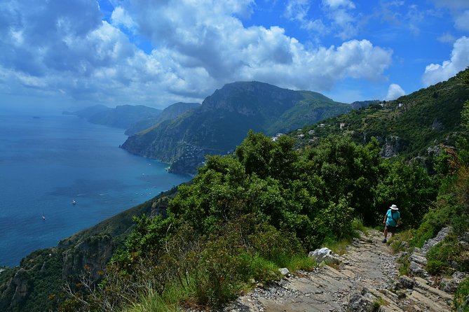 Private Amalfi Coast Tour with Path of the Gods - Key highlights worth getting excited about
