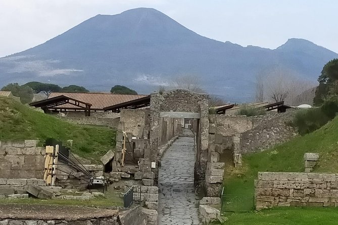 Private Archaeologist service to explore Pompeii's secrets any time ticket incl. - Casa del Fauno, the wide, impressive house you can actually picture