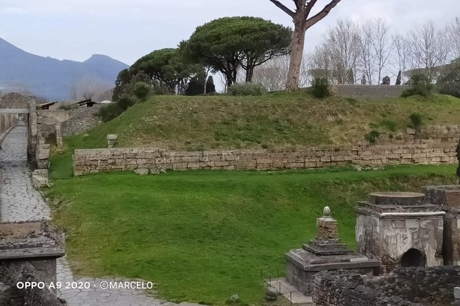 Private Archaeologist service to explore Pompeii's secrets any time ticket incl. - How the guide keeps the group together for a 2-hour flow