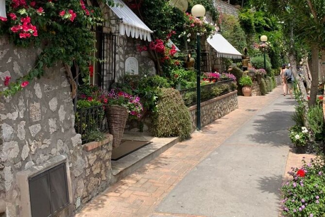 Private Capri and Blue Grotto Day Tour From Sorrento - Timing and pacing: an 8-hour day that still has rhythm