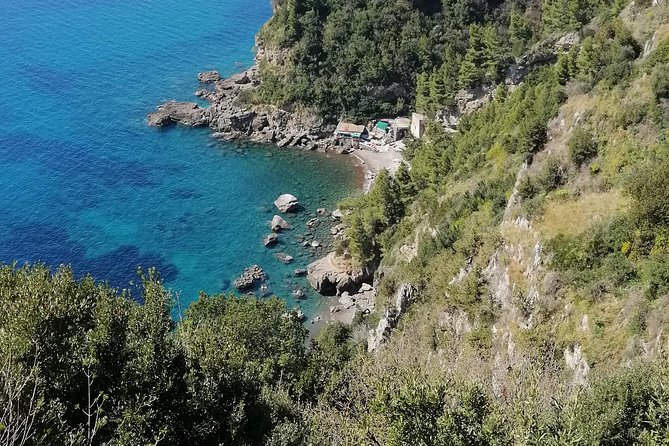 Private day tour: Pompeii, Sorrento and Positano. - How This Private Van Tour Works From Naples