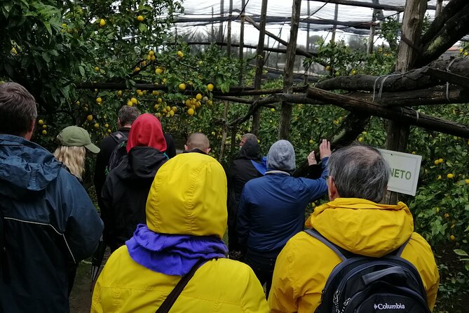 Private day tour: Sorrento, Positano, Amalfi and Ravello. - Price and Logistics: What $479.31 a Person Really Buys