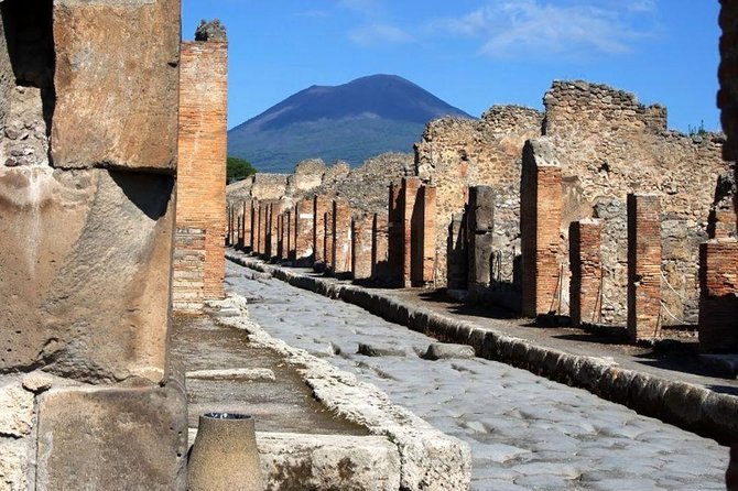 Private day tour to Pompei ,winery, Sorrento from Napoli/Salerno/Amalfi/Positano - Private Transportation That Actually Controls the Day