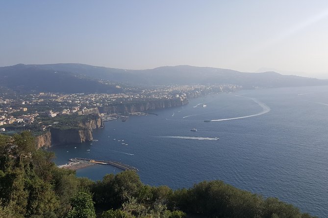 Private day tour to Pompei ,winery, Sorrento from Napoli/Salerno/Amalfi/Positano - Vesuvius Winery Lunch and Wine Tasting: What You Actually Eat and Drink