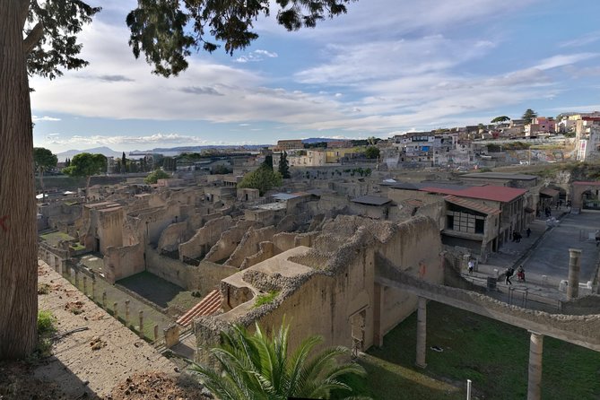Private Day Tour to Vesuvius, Herculaneum & Pompeii with Pick Up - Vesuvius National Park: The Climb, the Summit, and the Weather Lesson