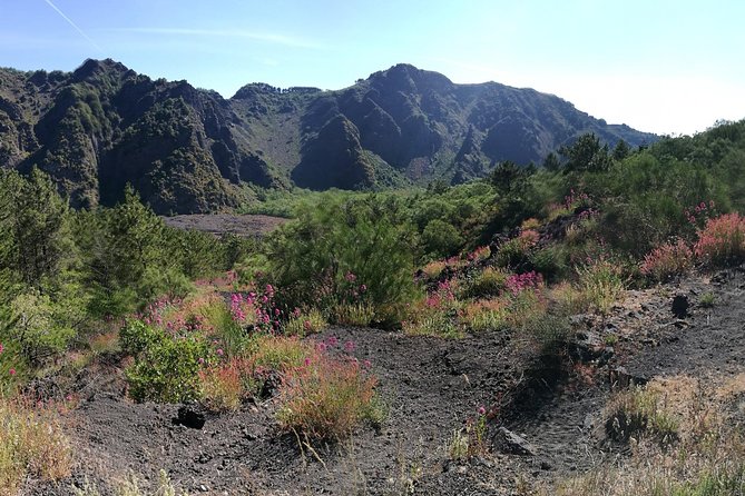Private Day Tour to Vesuvius, Herculaneum & Pompeii with Pick Up - Price and Value: How This One Day Stacks Up