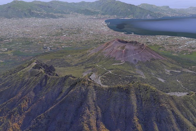 Private Day Tour to Vesuvius, Herculaneum & Pompeii with Pick Up - Who Should Book This Pompeii, Herculaneum, and Vesuvius Day Tour