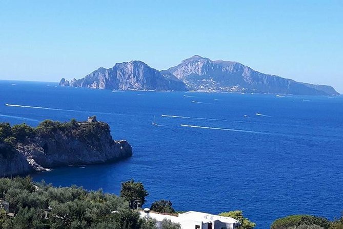 Private Exclusive Tour of Positano & Sorrento + Farmhouse Lunch - Value and Timing: Is $451.01 Actually Fair?