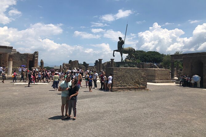 Private Full Day Tour Ruins of Pompei and Wine Tasting Experience - Wine tasting and lunch: what to budget