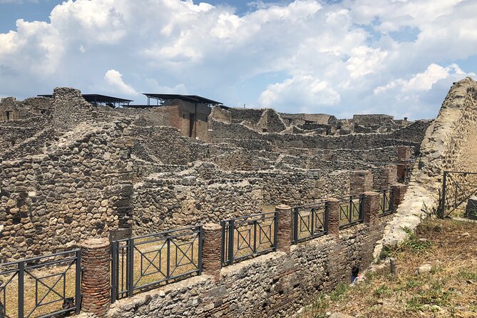 Private Full Day Tour Ruins of Pompei and Wine Tasting Experience - Door-to-door private transport from Sorrento