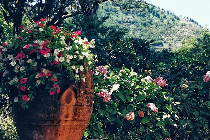 Private full day tour to Capri with grottos - Cruising the Grottos on a Small Boat Without the Stress