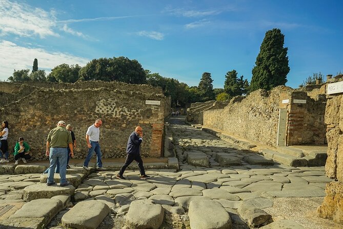 Private guided tour Of Pompei - Timing: 2 Hours 30 Minutes and the Right Kind of Focus