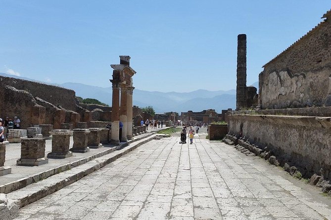 Private Guided Tour of Pompeii and Herculaneum - Timing, walking, and comfort: how to make the day work